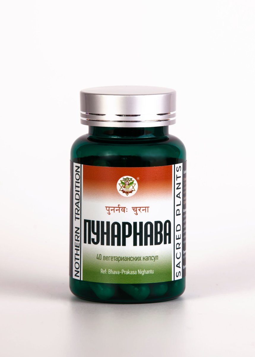 Пунарнава / NOTHERN TRADITION / 40 вегетарианских капсул / ПЭТ-тара / LALITA®