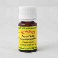 Семена моркови 10 мл